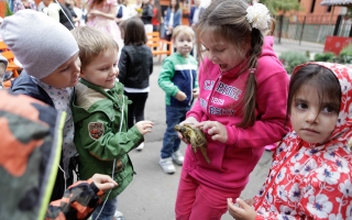 1 сентября 2016 г.